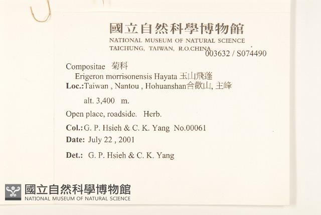 玉山飛蓬藏品圖，第2張