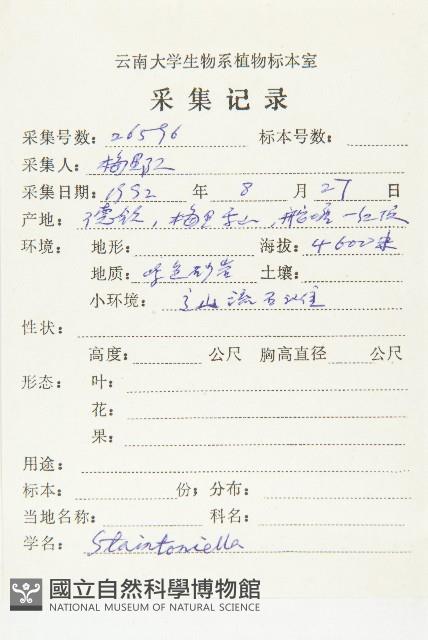 幹葉無隔芥藏品圖，第2張