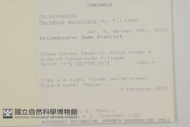 登錄號:S097490藏品圖，第2張