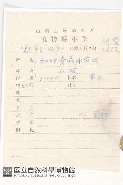 狗娃花藏品圖，第2張