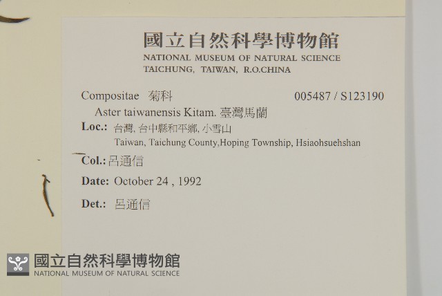 臺灣馬蘭藏品圖，第2張
