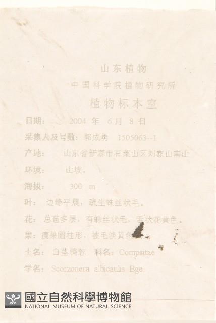 芼管草藏品圖，第2張