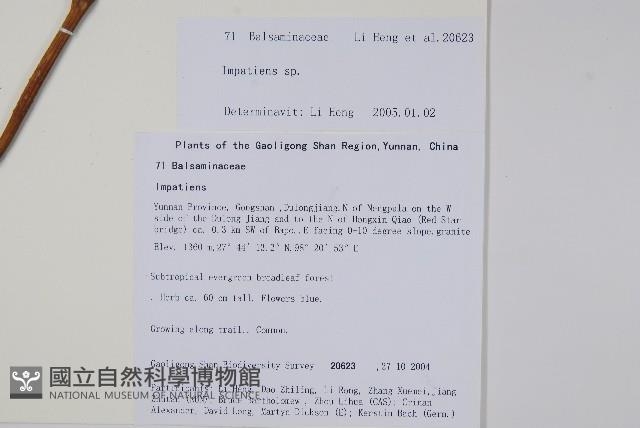 登錄號:S106390藏品圖，第2張