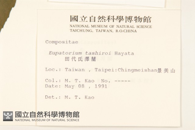 田代氏澤蘭藏品圖，第2張