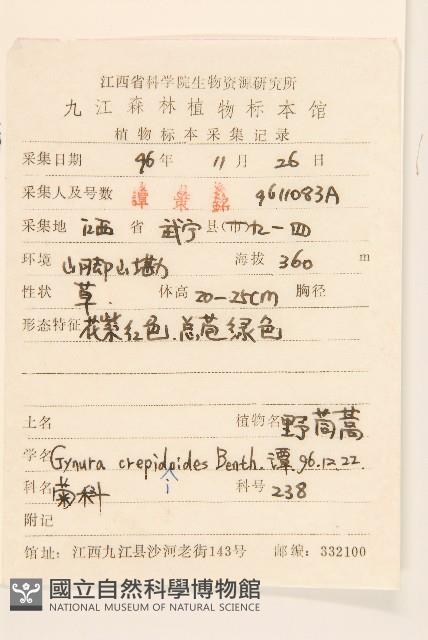 野茼蒿藏品圖，第2張