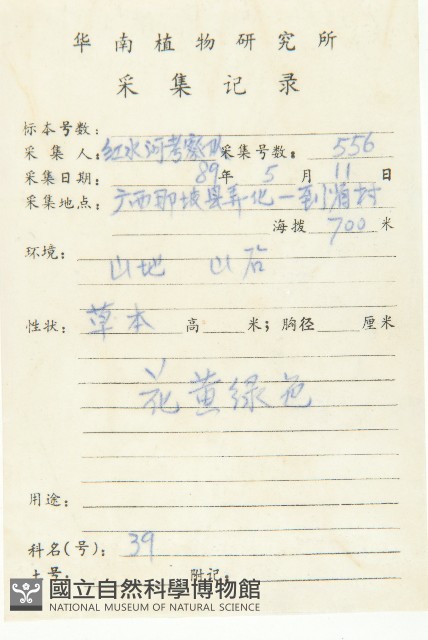 葶藶藏品圖，第2張