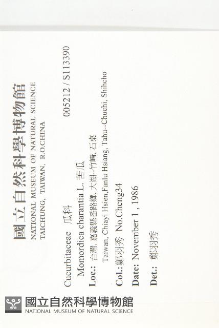 苦瓜藏品圖，第2張