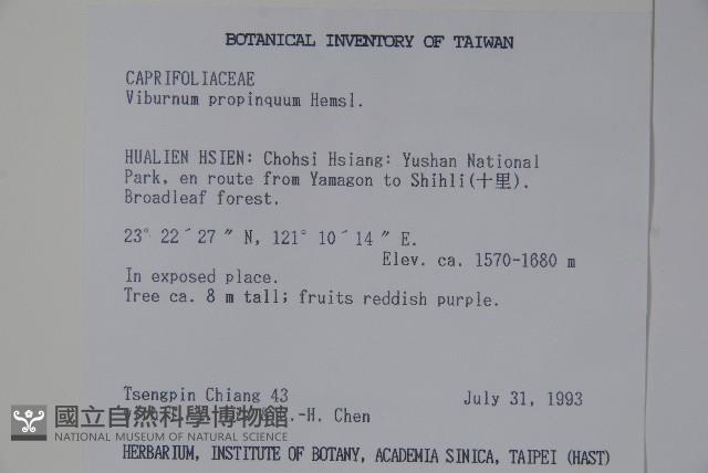 高山莢迷藏品圖，第2張