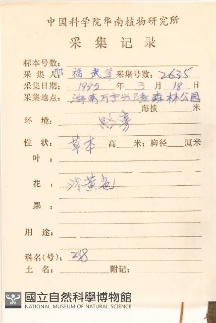 金腰箭藏品圖，第2張