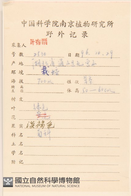 山菊藏品圖，第2張