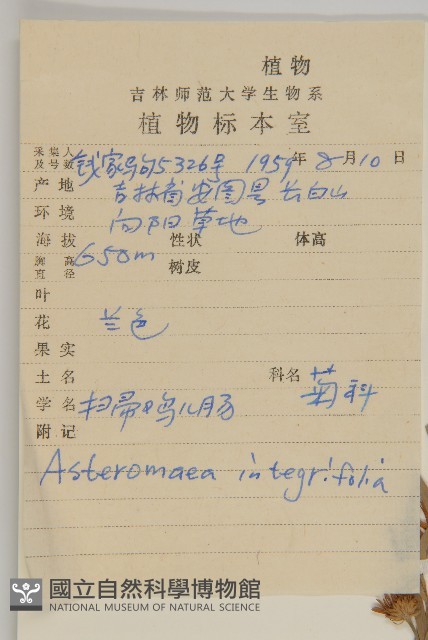 登錄號:S026890藏品圖，第2張