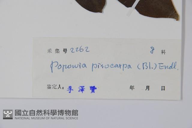 嘉陵花藏品圖，第2張