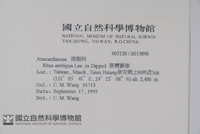 臺灣藤漆藏品圖，第2張