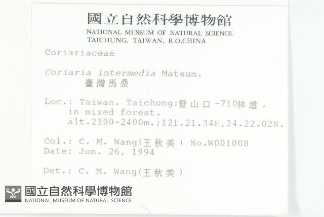 臺灣馬桑藏品圖，第2張