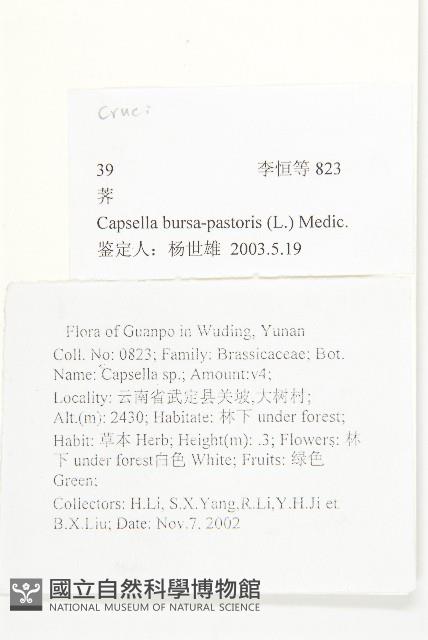 薺藏品圖，第2張