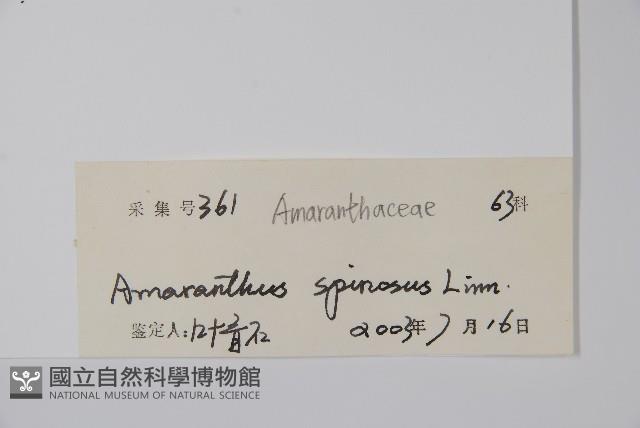 刺莧藏品圖，第2張