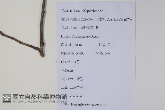 江南榿木藏品圖，第2張