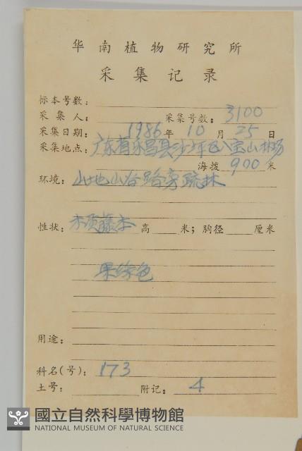 哥蘭葉藏品圖，第2張