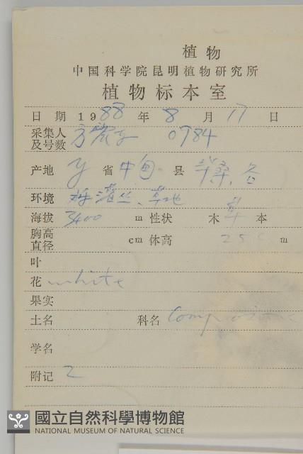 尼泊爾籟簫藏品圖，第2張