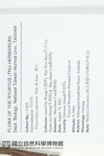 薯豆藏品圖，第2張