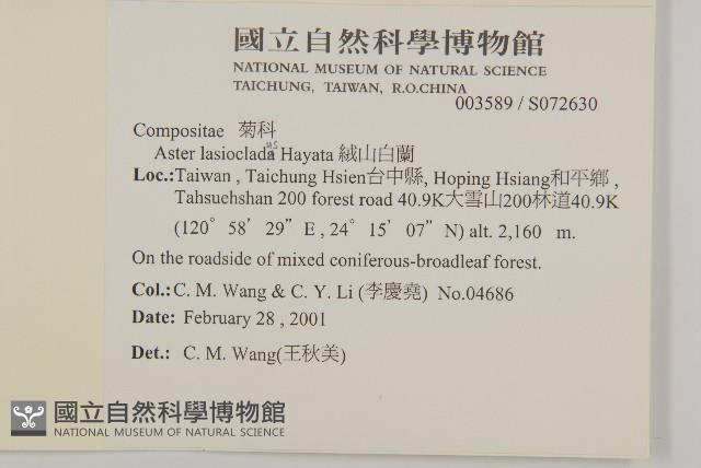 絨山白蘭藏品圖，第2張