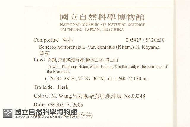 黃菀藏品圖，第2張