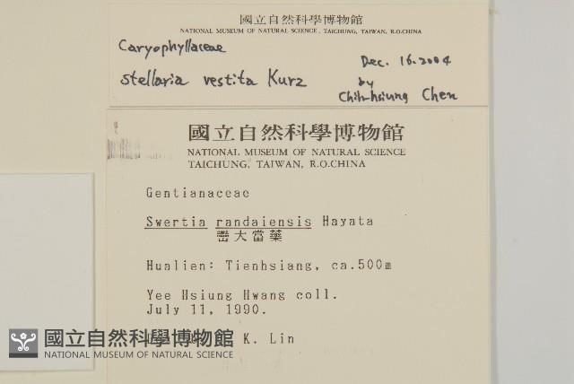 疏花繁縷藏品圖，第2張