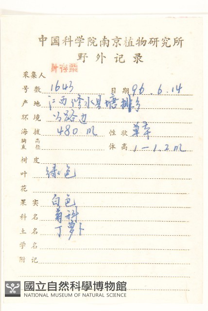 臺灣山苦藚藏品圖，第2張