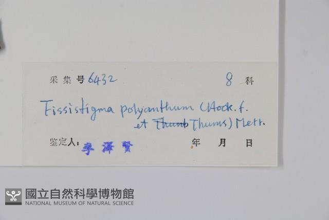 黑風藤藏品圖，第2張