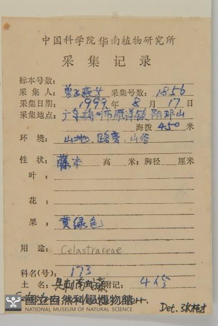 過山楓藏品圖，第2張