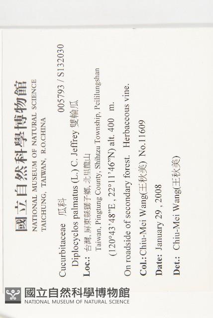 雙輪瓜藏品圖，第2張