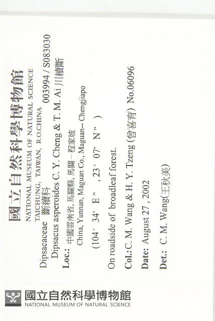 川續斷藏品圖，第2張