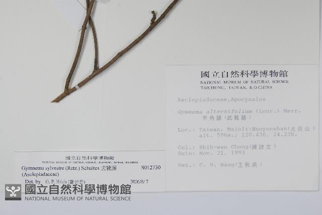 武靴藤藏品圖，第2張