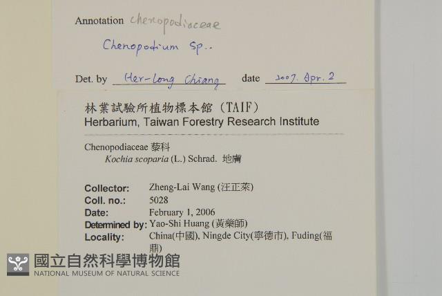 登錄號:S132730藏品圖，第2張