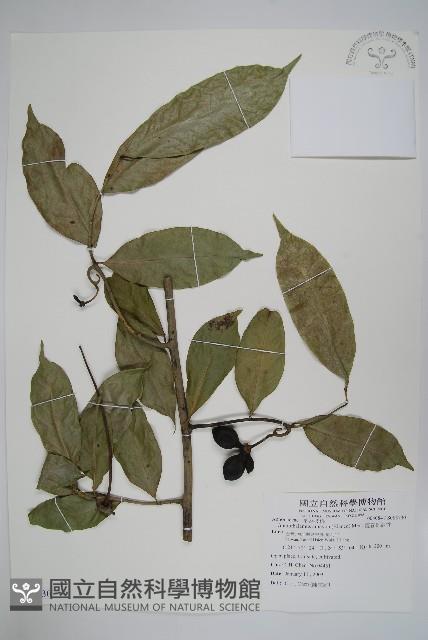 登錄號:S085730藏品圖，第1張