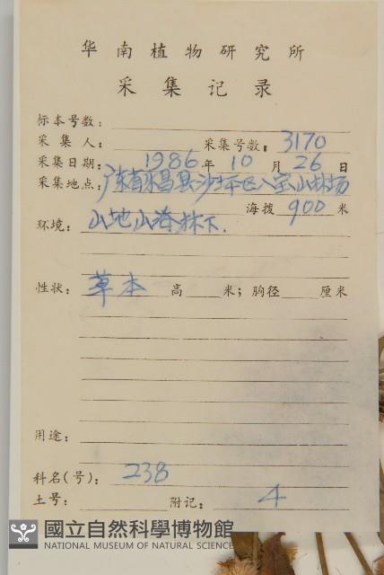 走馬胎藏品圖，第2張