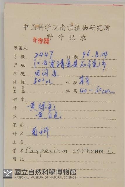 杓兒菜藏品圖，第2張