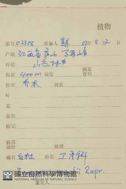 華北衛矛藏品圖，第2張