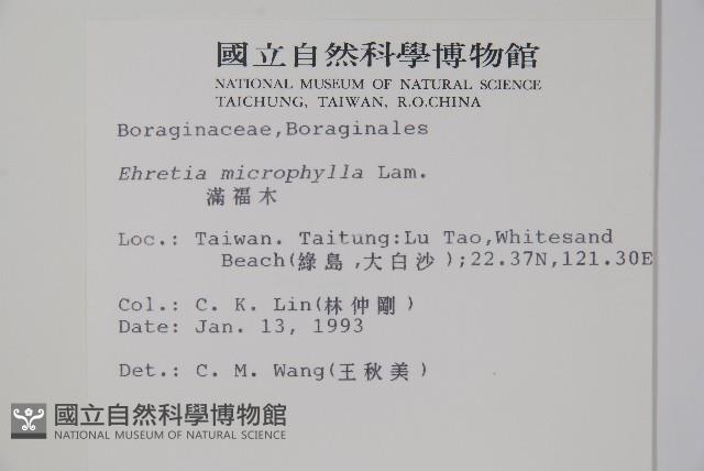 滿福木藏品圖，第2張