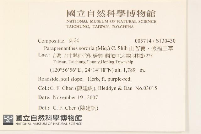 山苦藚、假福王草藏品圖，第2張