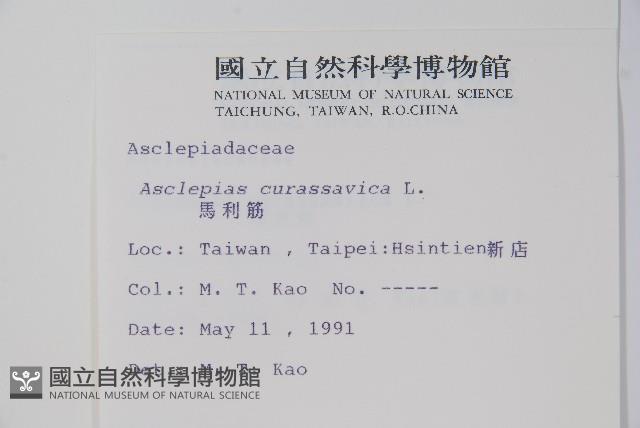 尖尾鳳、馬利筋藏品圖，第2張