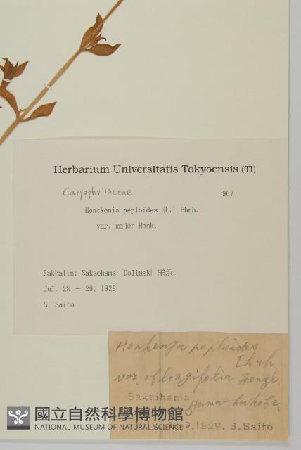 登錄號:S082130藏品圖，第2張