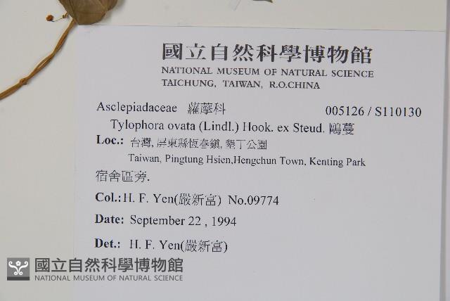 鷗蔓藏品圖，第2張