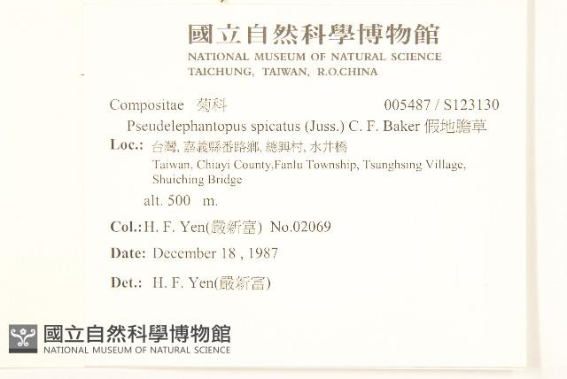 假地膽草藏品圖，第2張