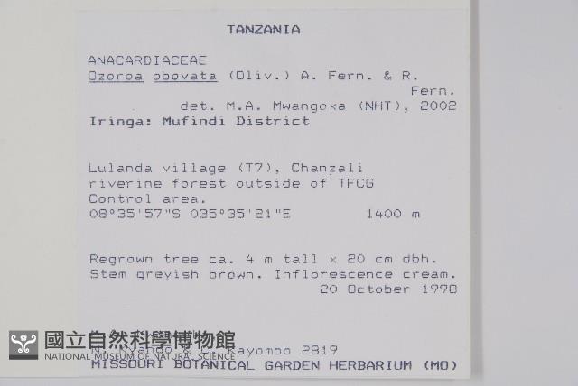 登錄號:S096330藏品圖，第2張