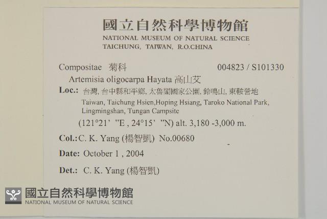 高山艾藏品圖，第2張