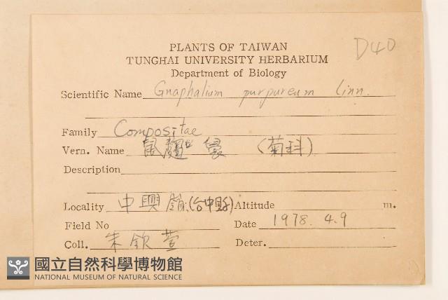 鼠麴舅藏品圖，第2張