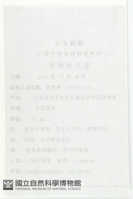 鳳花菜藏品圖，第2張