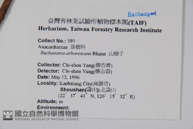 山檨子藏品圖，第2張