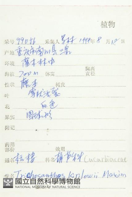 括樓藏品圖，第2張